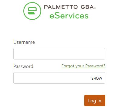 palmetto gba log in|palmetto gba provider portal login.